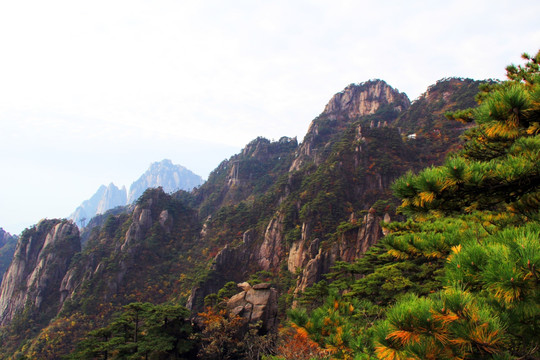 黄山山峰
