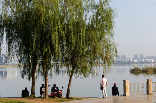 湖岸风景