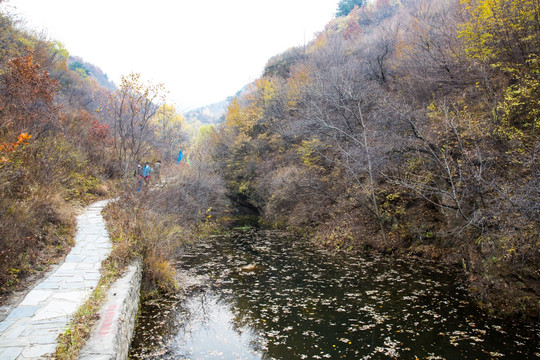 山间小路