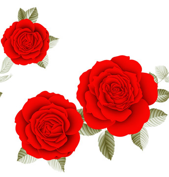 大红玫瑰花（去底分层）