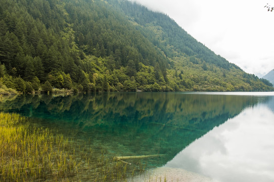 九寨沟绿色山水景观 火花海