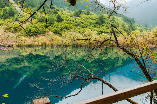 九寨沟旅游美景 卧龙海