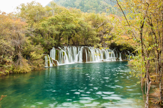 九寨沟秋天迷人风景 树正瀑布