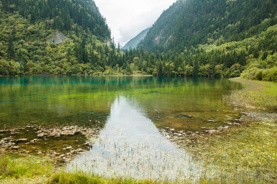 九寨沟高山湖泊自然景观 五花海