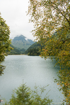 九寨沟山林湖泊自然景