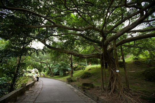 厦门植物园