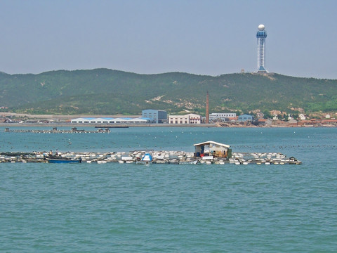 胶州湾海产养殖场