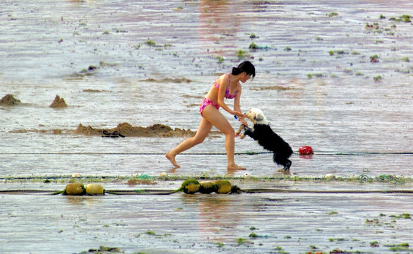 泳装女孩与宠物狗