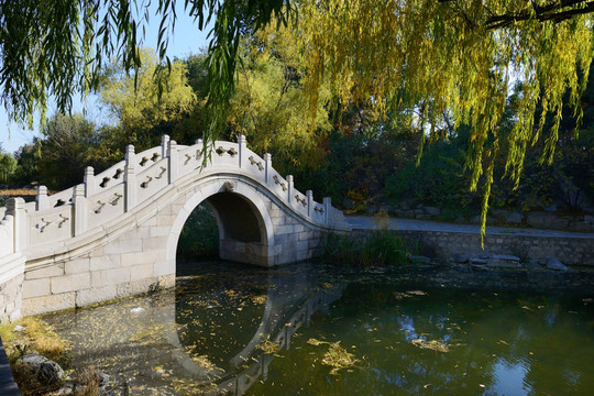 清华大学近春园石拱桥