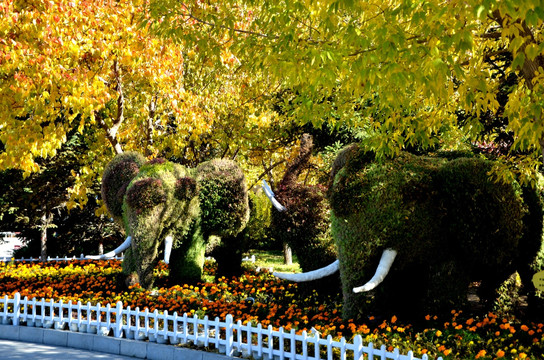 公园景观大象