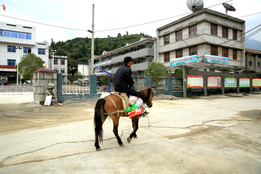 骑马 购物 交通 运输 生活