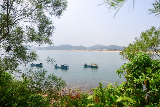 阳江海陵岛渔港