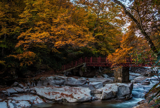 黑熊沟 光雾山 溪流 水 秋色