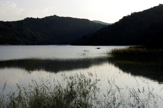 山谷静湖