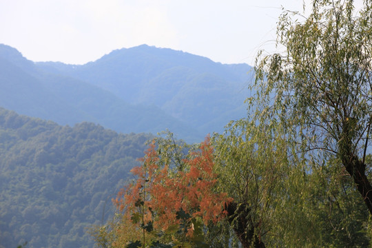 朱雀森林公园