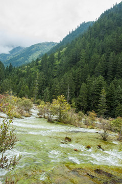 九寨沟旅游风光 珍珠滩