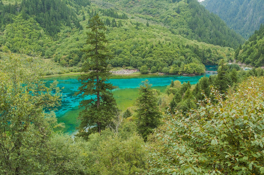 九寨沟山林湖泊 孔雀海