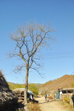 村庄 农村 田野 山村 乡下