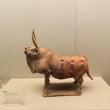 北齐红陶牛
