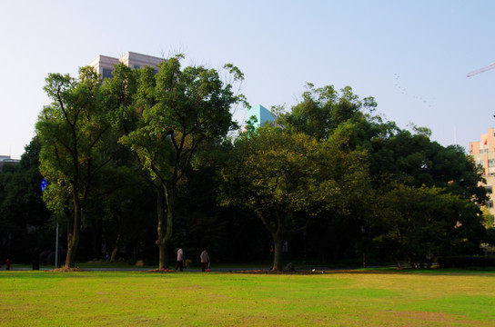 外滩源一号景色