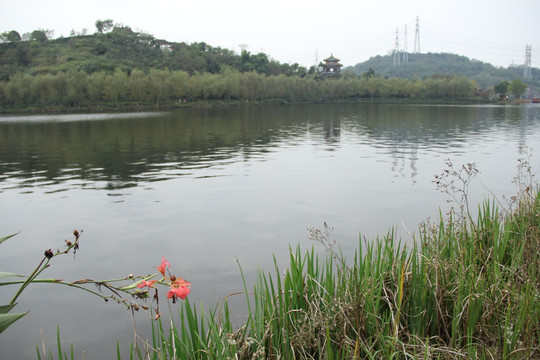 湖泊 沼泽