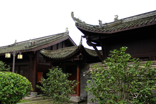 庭院
