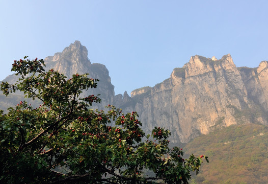 太行山之秋