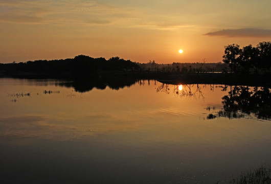 湿地公园日出