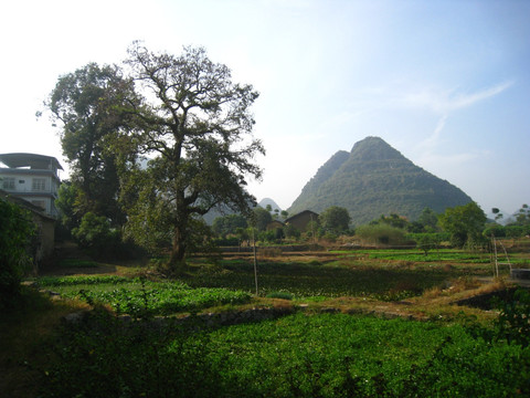 山村