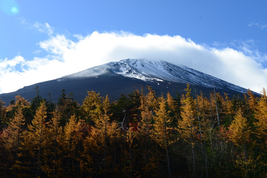 日本富士山