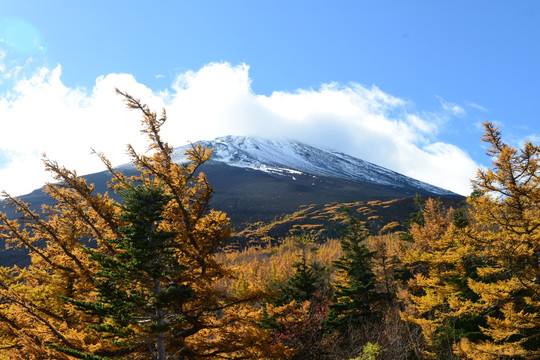 日本富士山