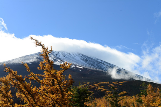 富士山景区