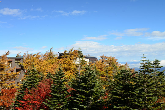 富士山景区