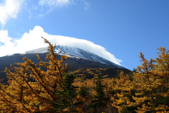 富士山景区