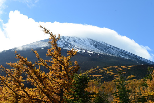 富士山景区