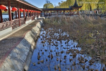 北宫森林公园