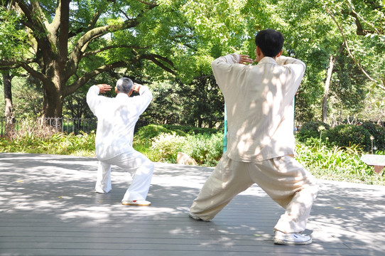 太极 师傅 晨练 锻炼 健康