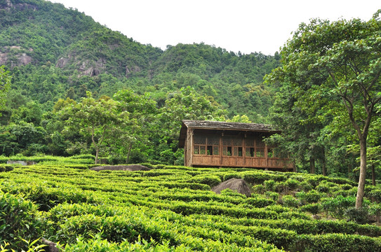 中国广西贺州姑婆山