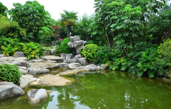 水景绿化
