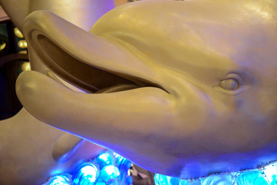 大型海豚雕塑头部