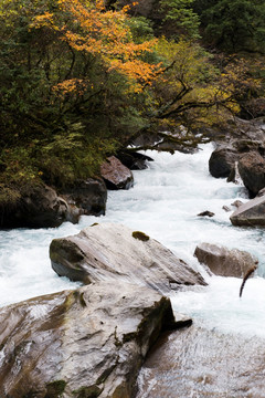 虎牙大峡谷 彩林 岩石