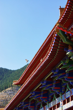 建筑