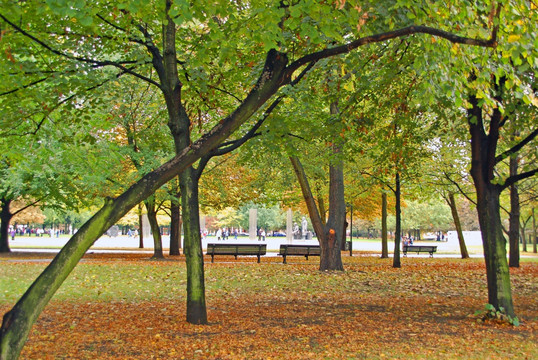 柏林城市公园 马恩广场