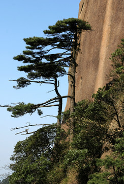 江西三清山风光