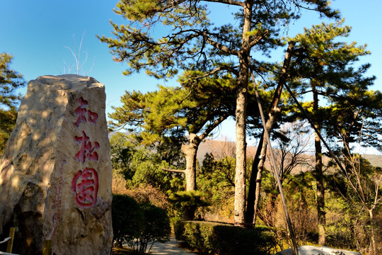 香山公园知松园