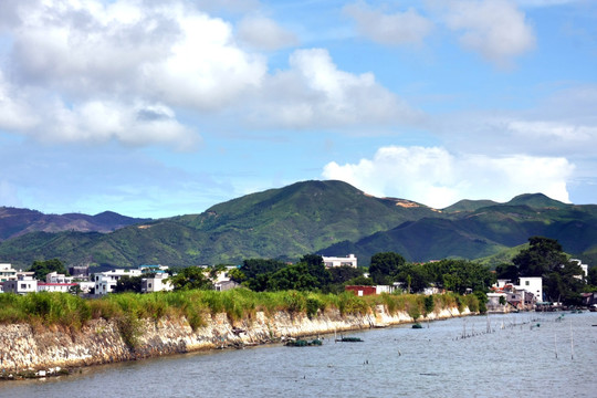 山坡风景