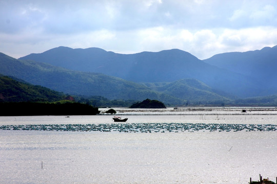 山坡风景