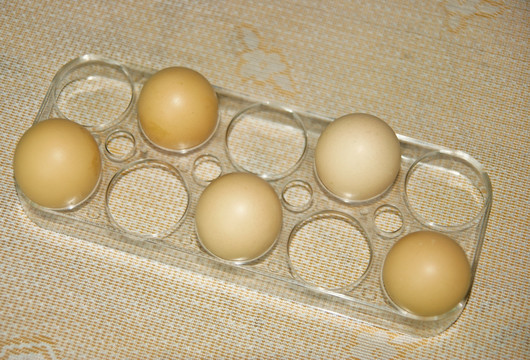 鸡蛋蛋格 家居用品