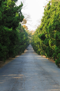 道路