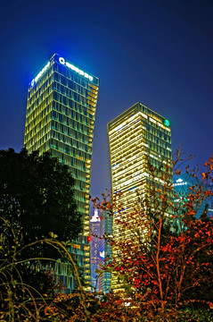 上海浦东高层建筑夜景